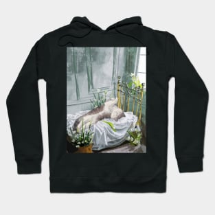 Cat on Bed Hoodie